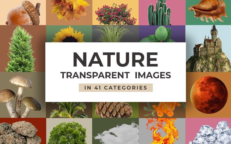 This image is a collage of all the natural elements that the nature transparent images consists of.