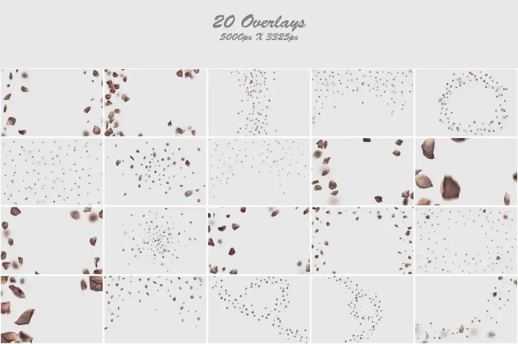 Ethereal display of dead roses in a unique collage