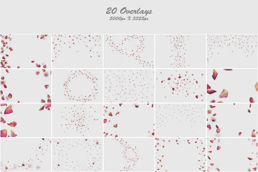 Ethereal display of faded roses in a unique collage