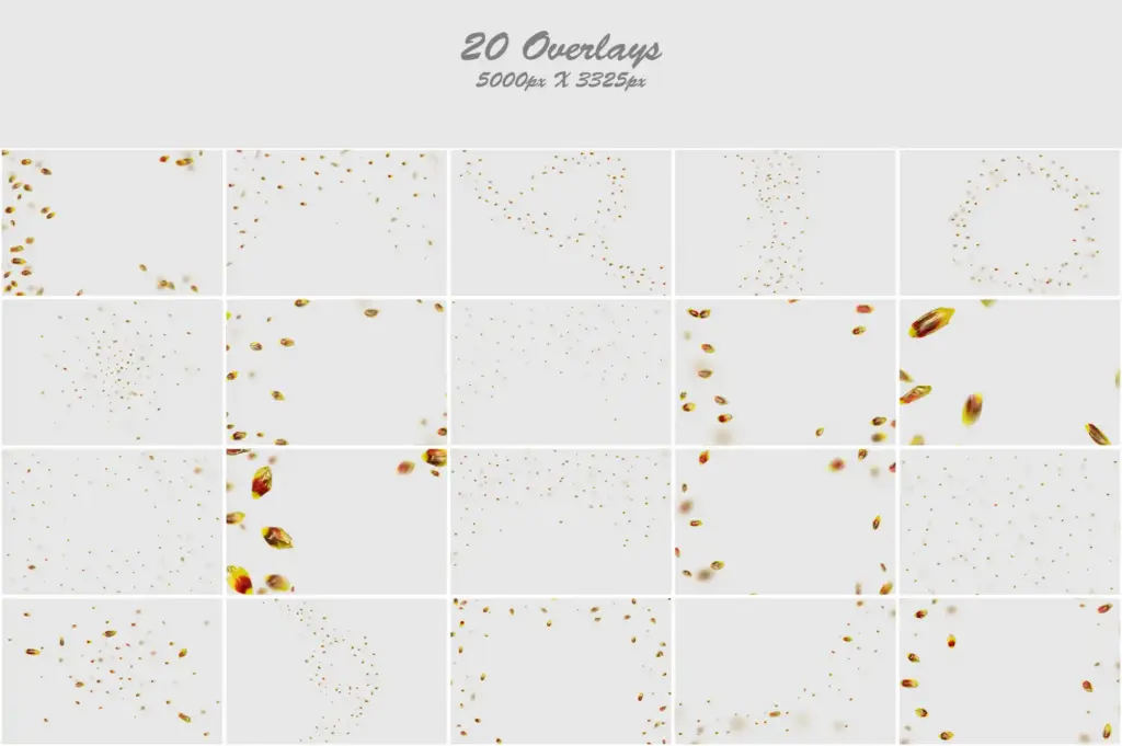 Vibrant orange and golden tulips arranged in a captivating collage