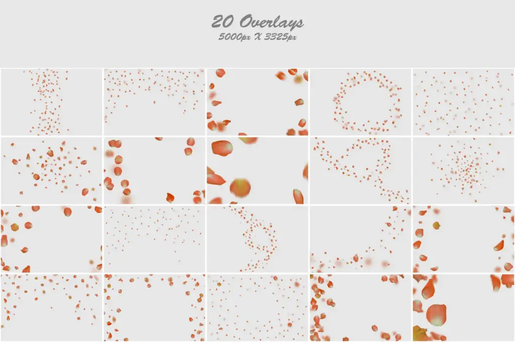 Stunning composition featuring orange rose petals in an artistic collage