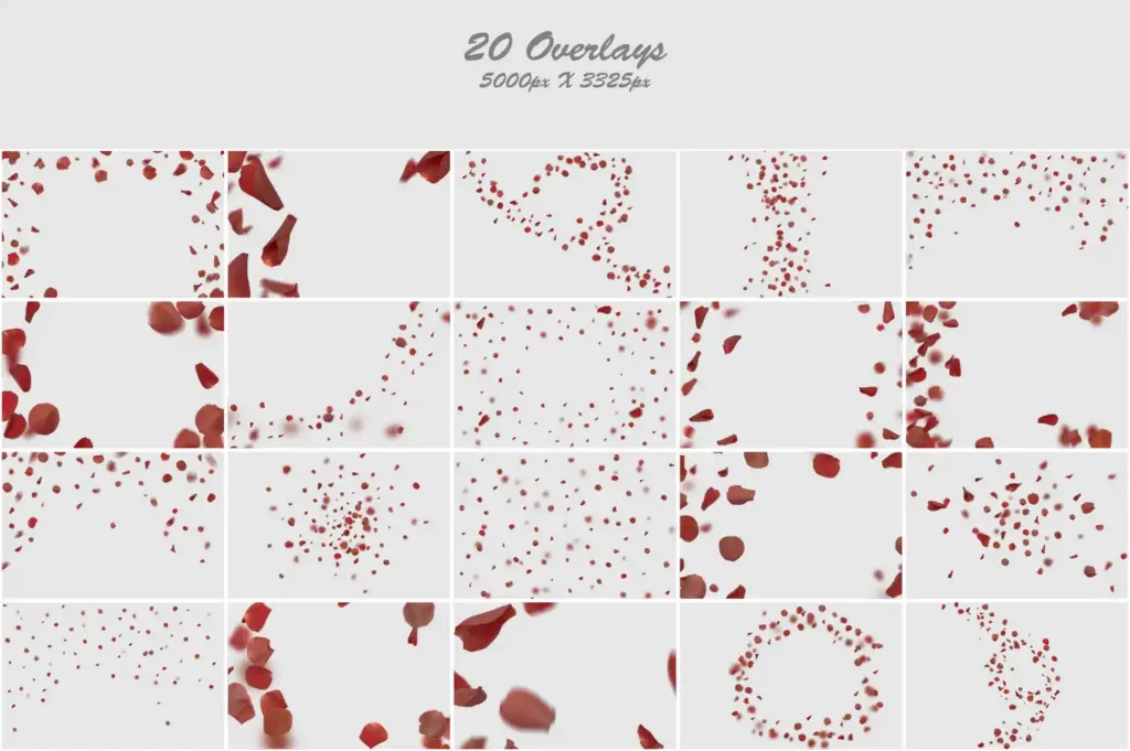 Mesmerizing arrangement of orange rose petals in a visually appealing collage