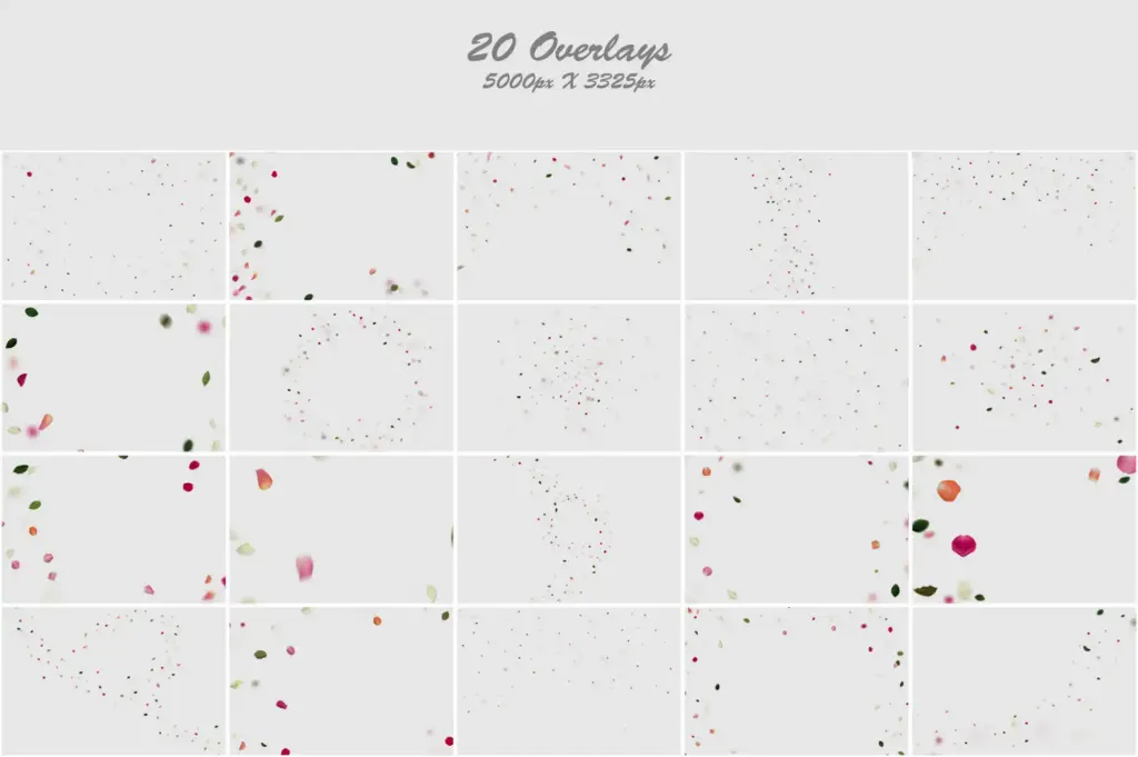 Artistic composition of colorful petals and lush green leaves in a collage