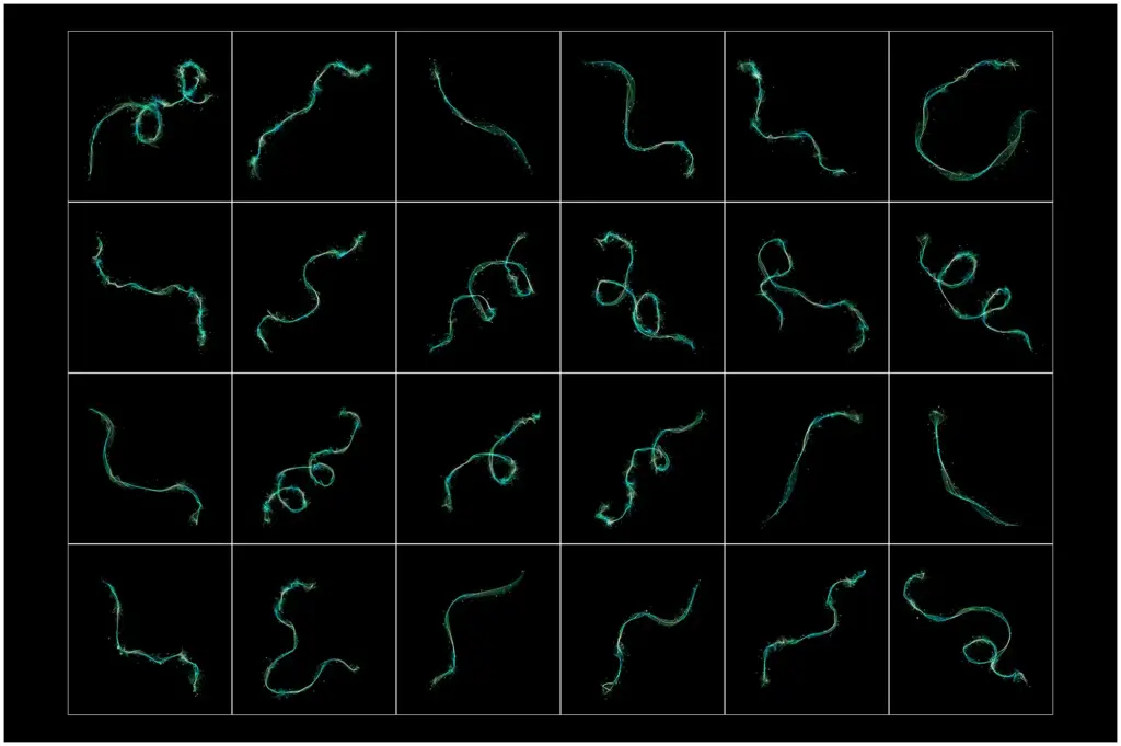 Mesmerizing visual of wave-like fire capturing the essence of movement and intensity