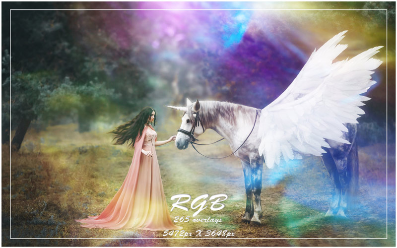 a beautiful lady standing in front of a unicorn with wings in a field
