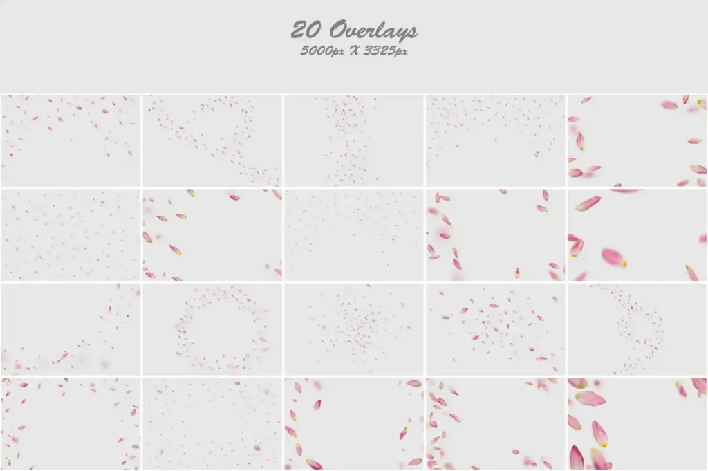 Captivating arrangement of delicate pink tulips in a beautiful collage