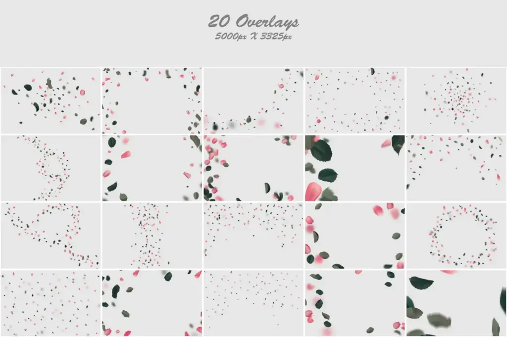 Collage of soft pink petals and leaves, creating a soothing and delicate composition