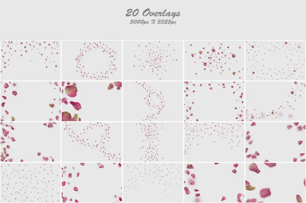 Glamorous collage of sparkly dark rose petals, radiating elegance and allure