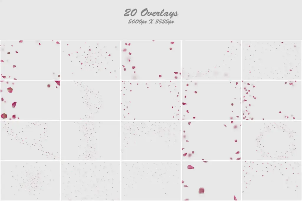 Dazzling composition featuring sparkling rose petals in a captivating arrangement