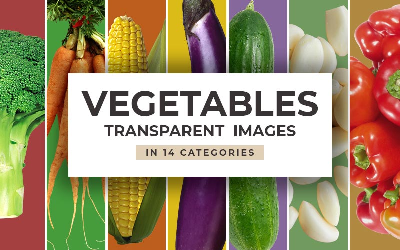This image is a collage of all the vegetables in the vegetable transparent images bundle