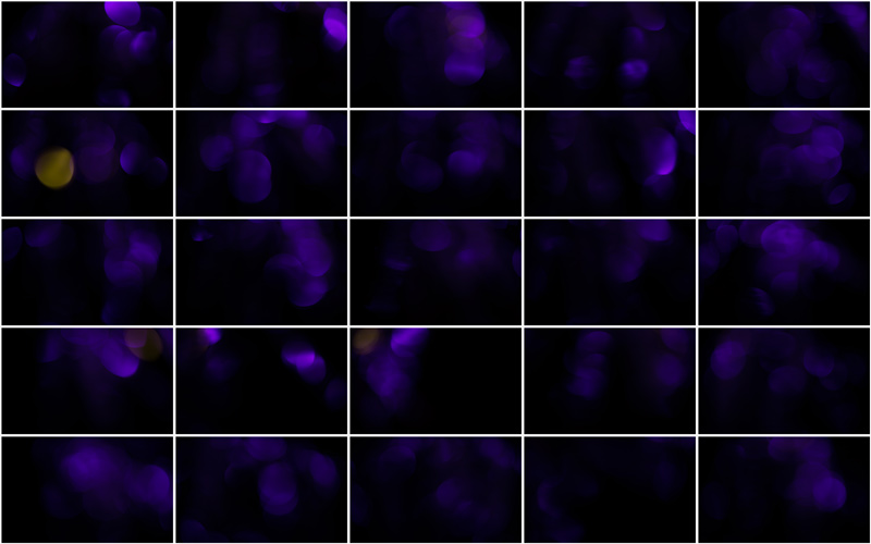 "Dynamic interplay of violet bokeh patterns, exuding a sense of tranquility and mesmerizing beauty."