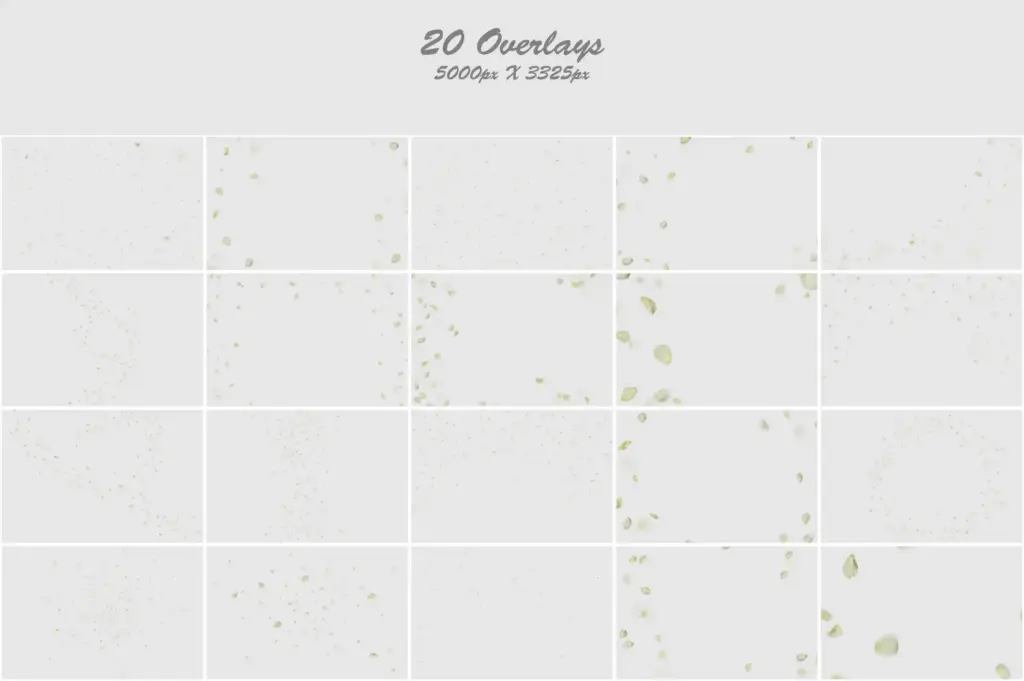 Stunning arrangement of white roses, symbolizing purity and elegance