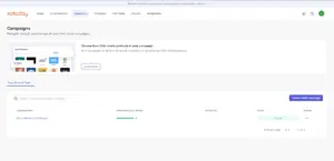 Campaigns tab of Plum - Incentives Software displaying custom campaigns set up by the user , create code campaigns option, and global rewards catalogue.