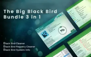 Big-BlackBird Bundle Desktop Cleaner feature image