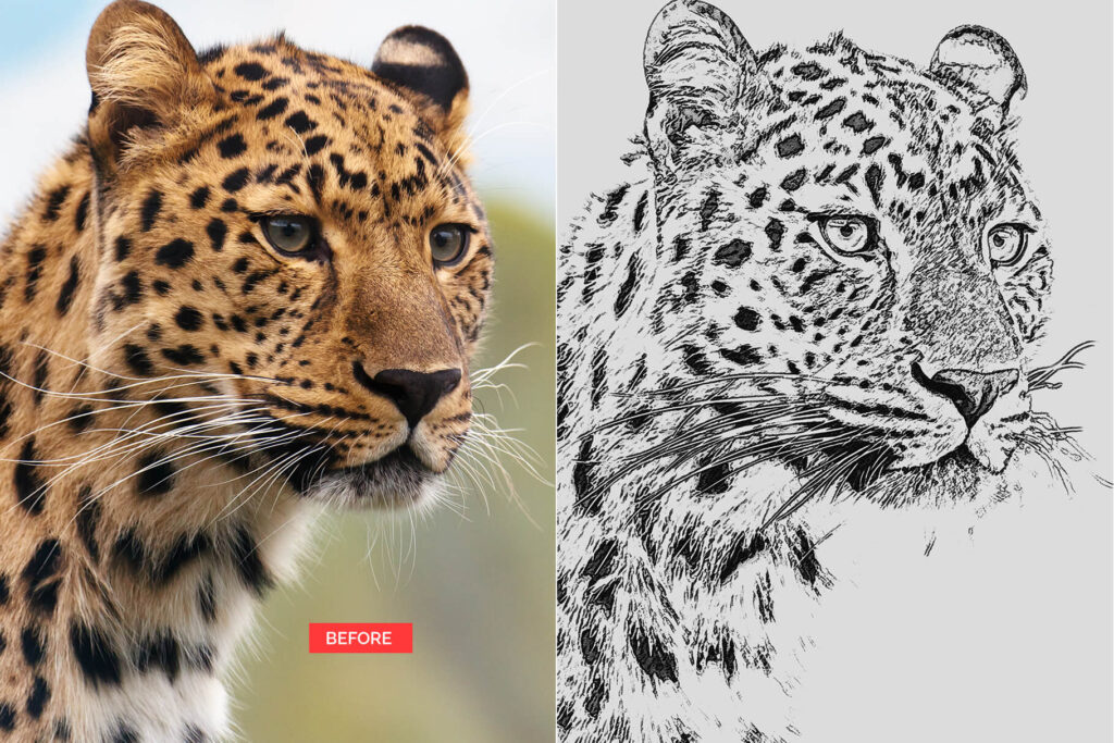 Pencil Sketch PS Action applied to an image of a cheetah