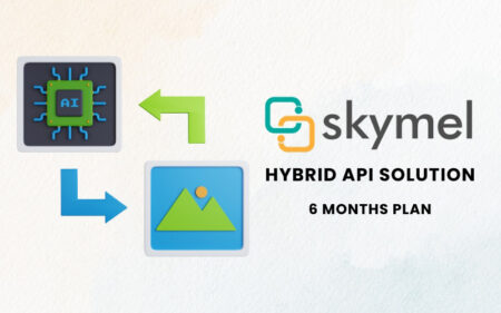 Feature Image of Skymel Hybrid API Solution