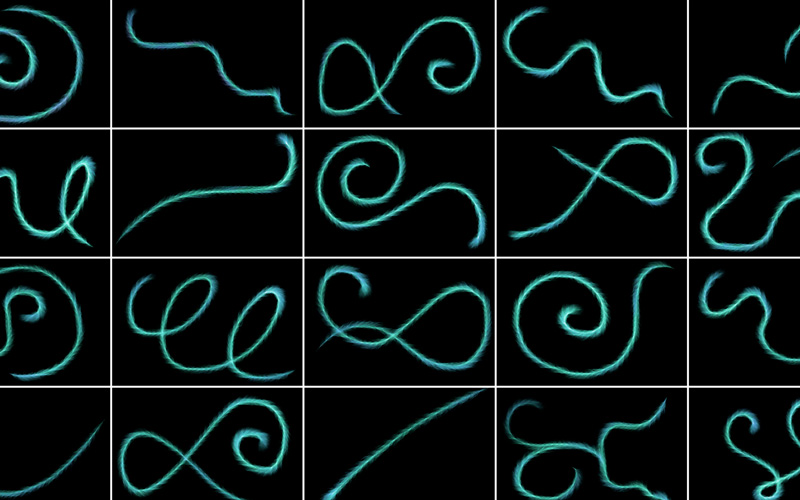 Collage of images of Furry neon light pattern.