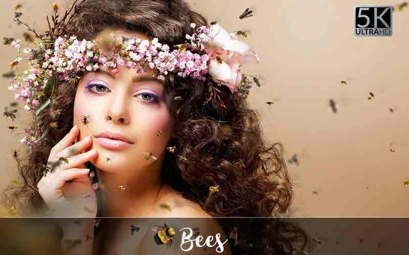 Close of image of a girl with curly hair wearing a flower tiara surrounded by bees.