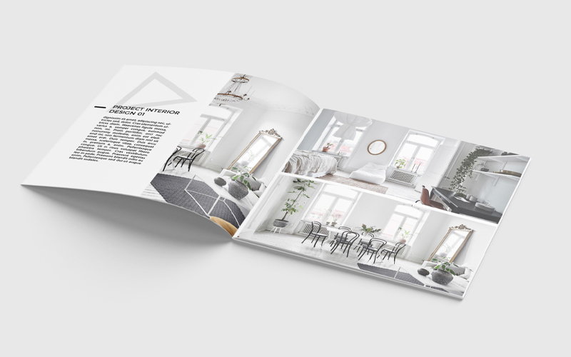 Design layout of a brochure and bundle, featuring unified brand aesthetic across different print materials