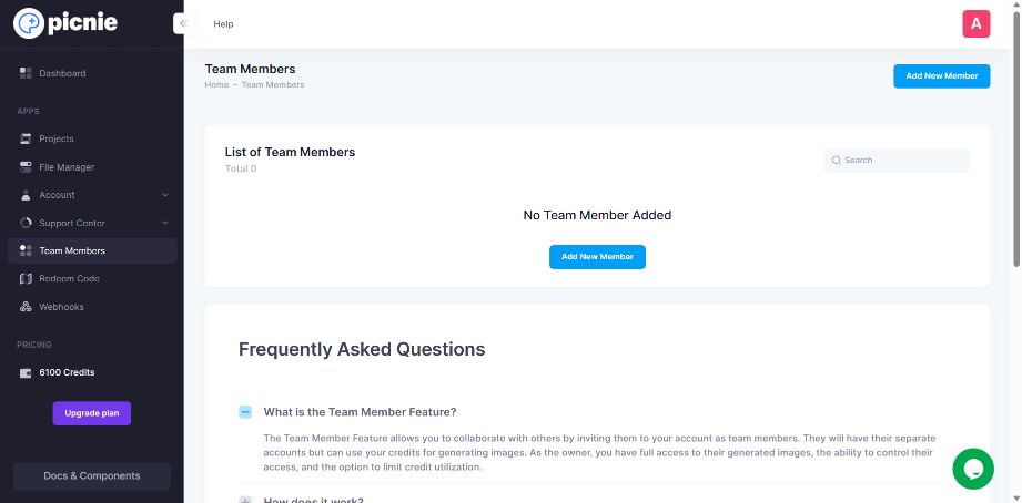 Picnie teammember tab displaying the UI