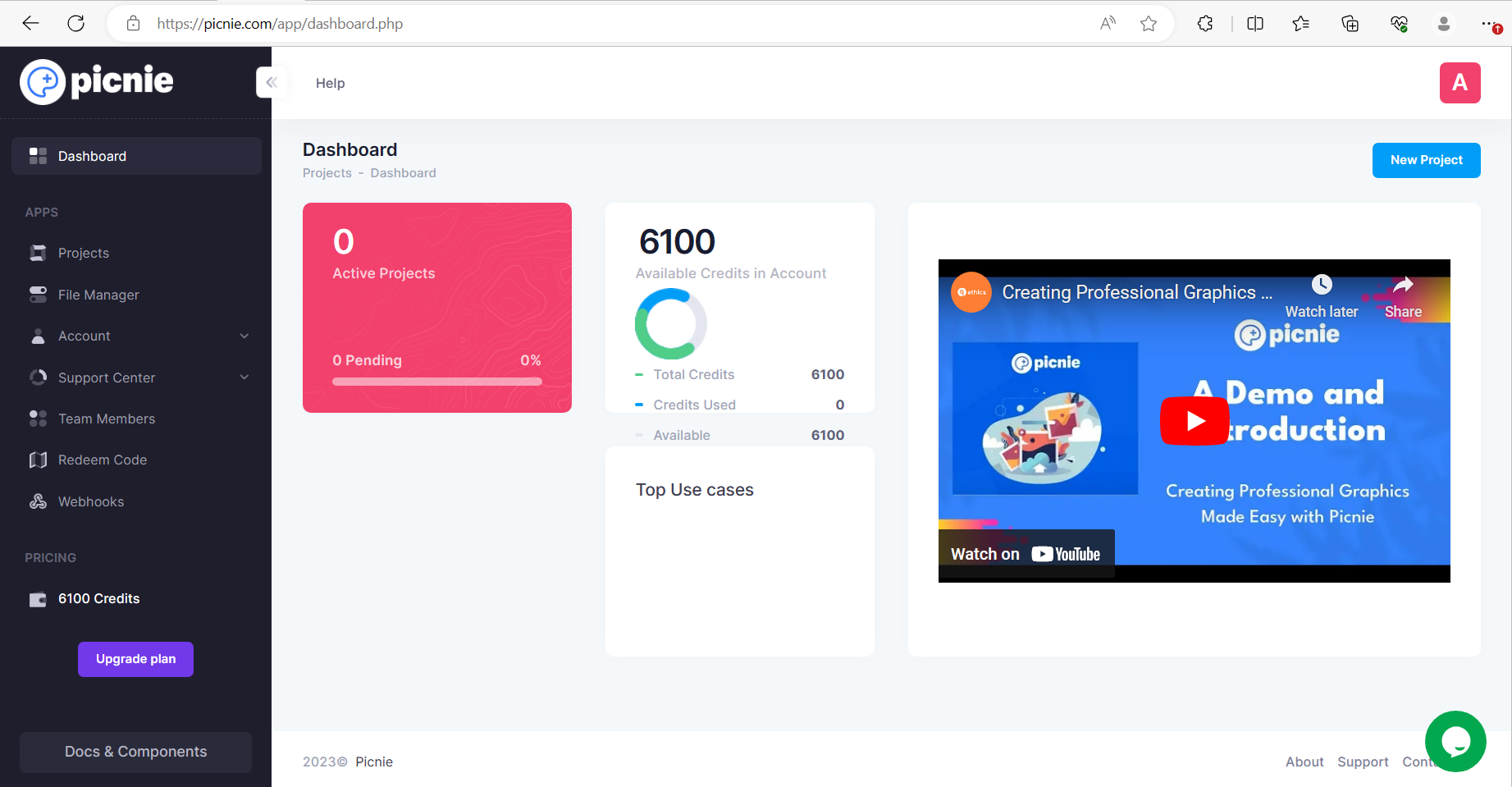 Picnie Graphic Automation Tool's dashboard UI displaying Information.