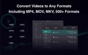 filmage converter multiple format conversion option