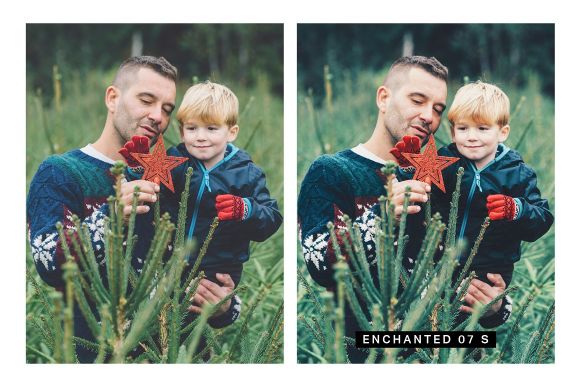 flourishing Forest LR 2