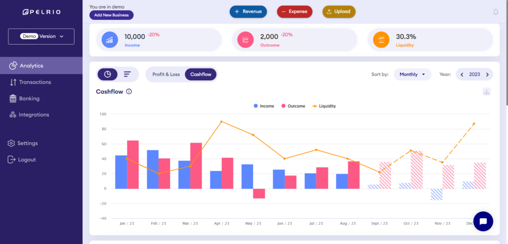 This image is displaying pelrio's cashflow dashboard