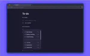 MadNotes PRO user interface displaying a To-Do list.