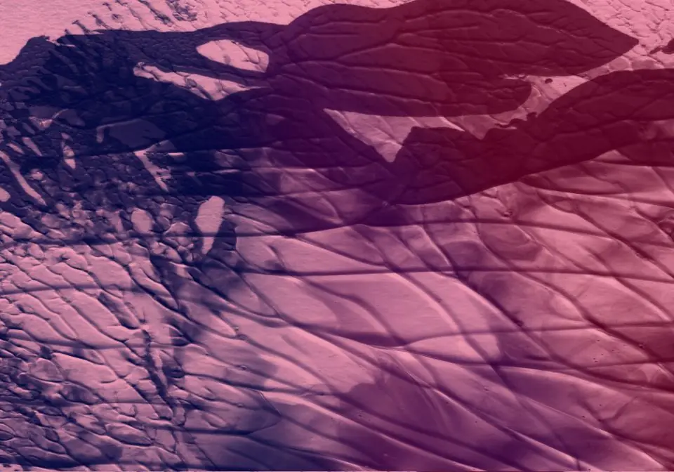 oil painting Texture background image