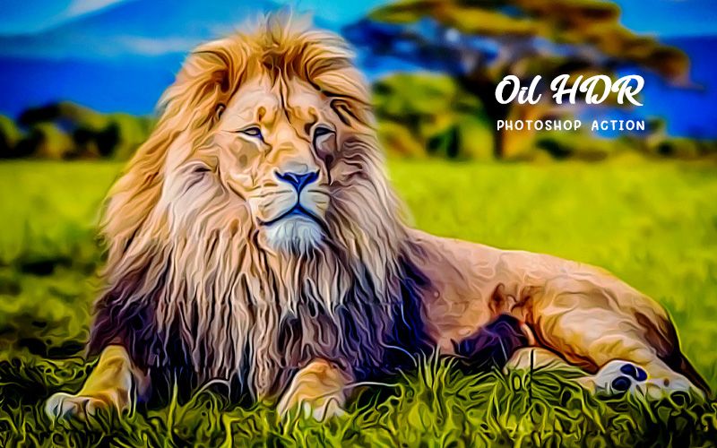 Oild HDR photoshop action applied to an image of a lion