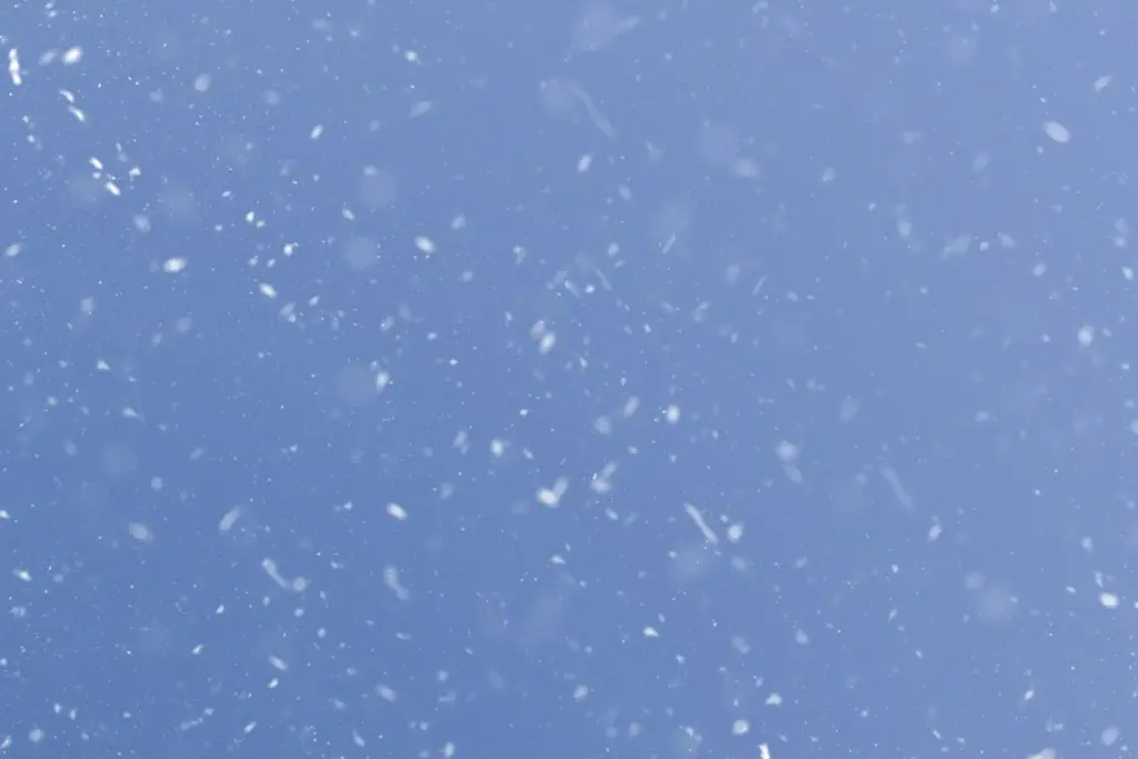 Light blue colored winter background with snow fall effects
