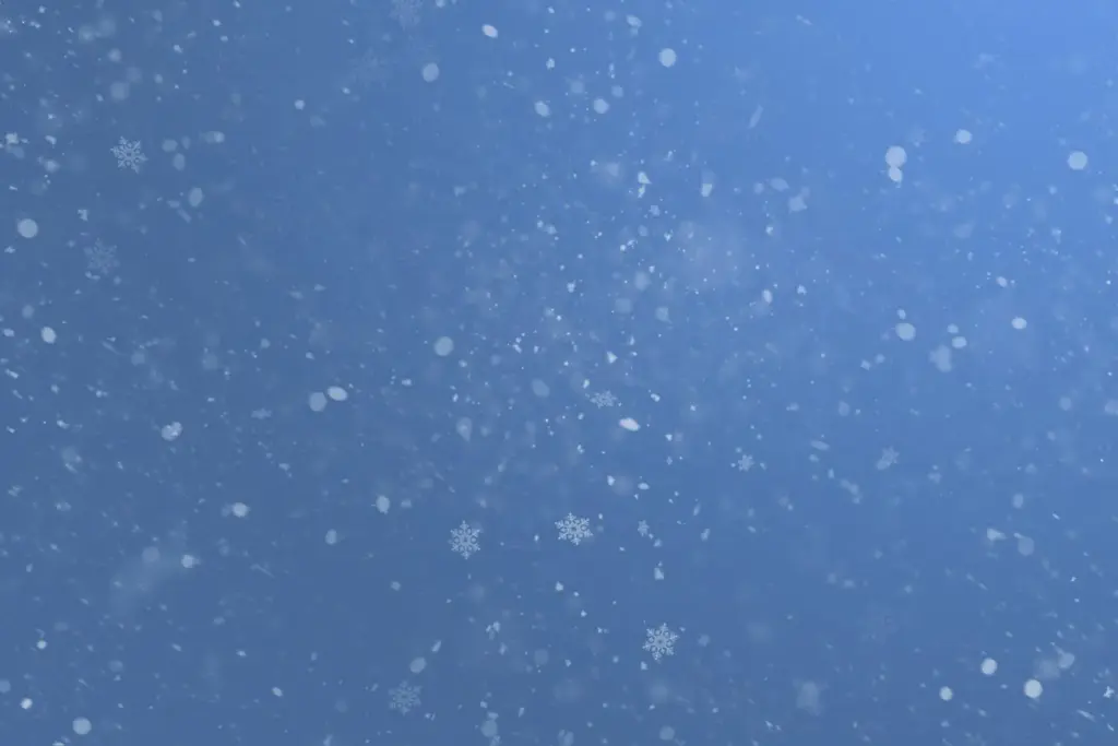Winter background with snow flake effects