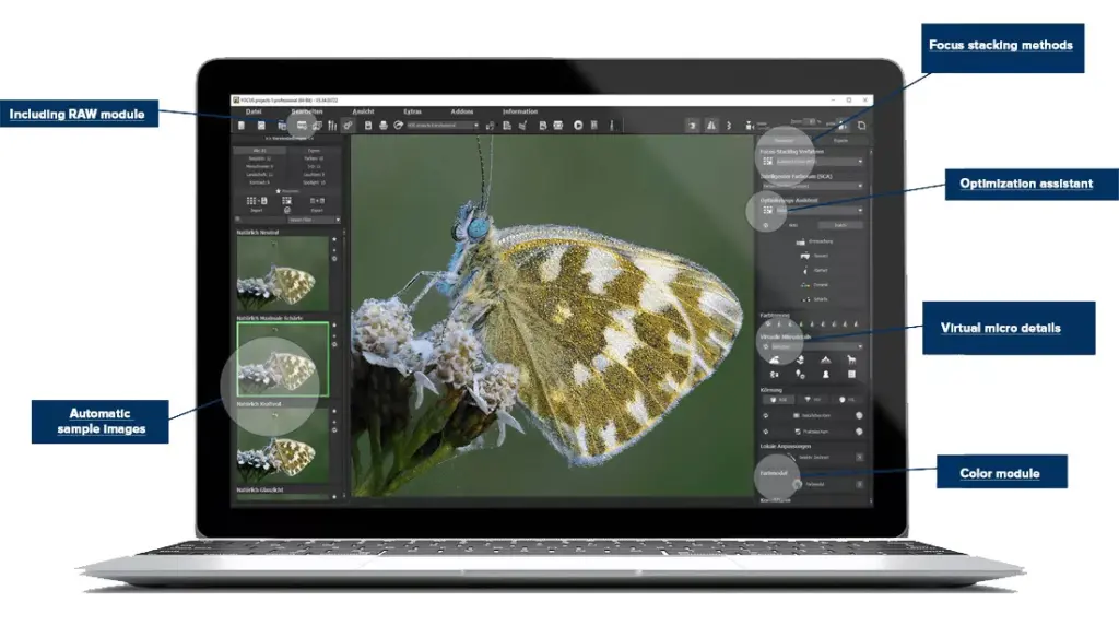 Functions in Selective Drawing and RAW Module - software for macro photography