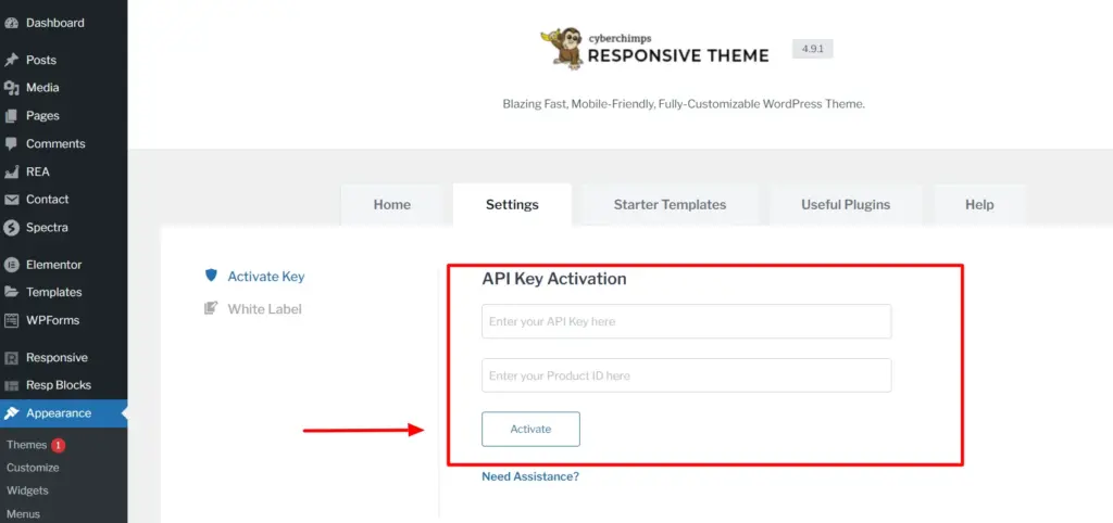 Responsive starter template API Key activation block