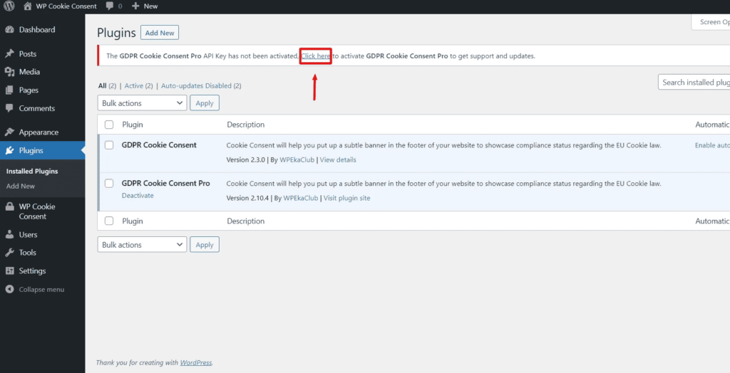 Image displaying final steps of activationof the plugin