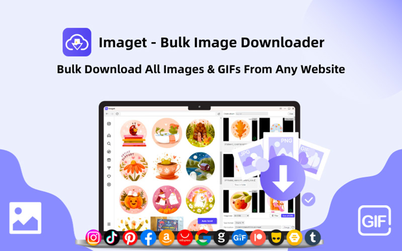 Imaget – Bulk Image Downloader | Annual & Lifetime Plans | Annual Plan