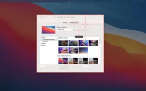 Selected Screen recorder UI