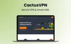 CactusVPN - Best Secure VPN & Smart DNS | Annual Access