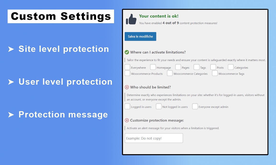 Custom Settings of WordPress Plugin For Security showcasing site level protection and user level protection