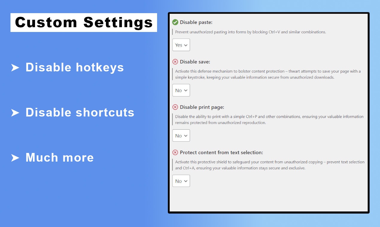 Custom Settings of WordPress content protection plugin showcasing the options to disable hotkeys, shortcuts and more