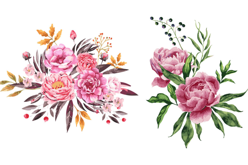 Pink flower watercolor illustrations