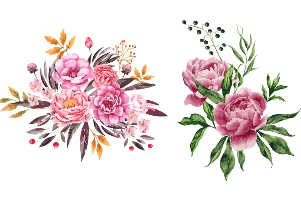 Pink flower watercolor illustrations