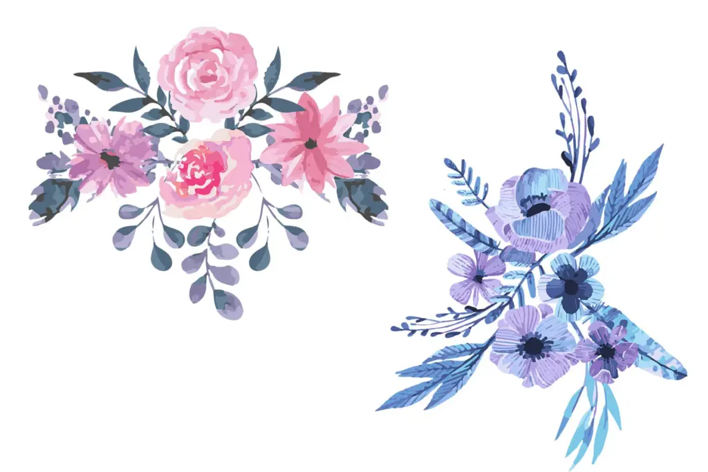 rose watercolor illustration
