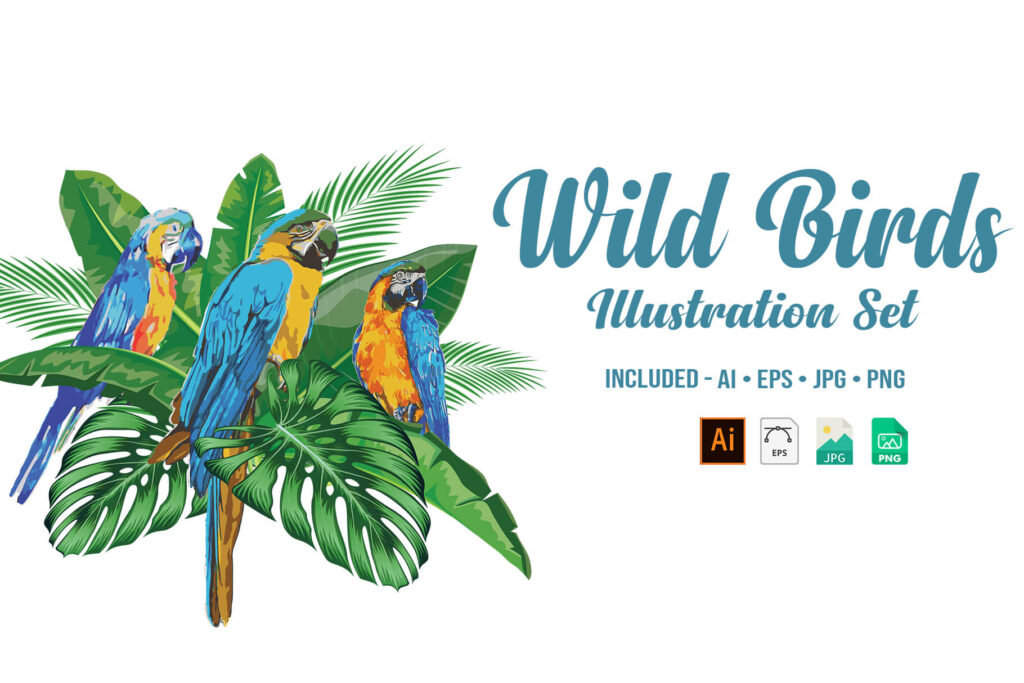 Wild Bird Illustration Set