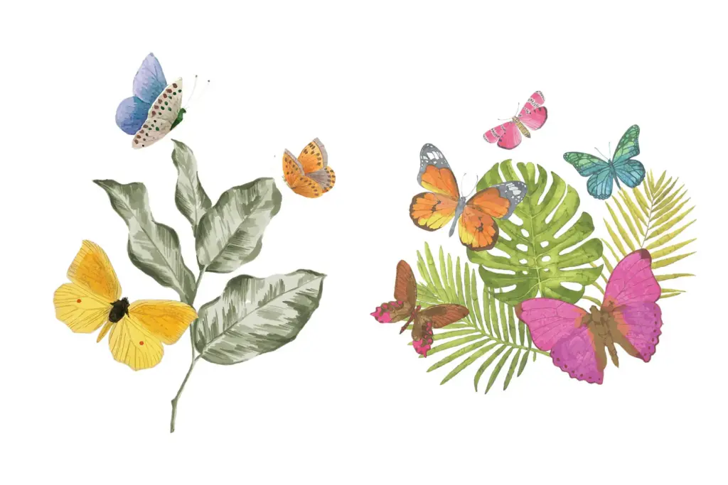 wild-birds-preview-13