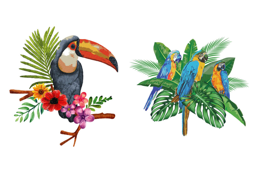 Toucan watercolor Illustration