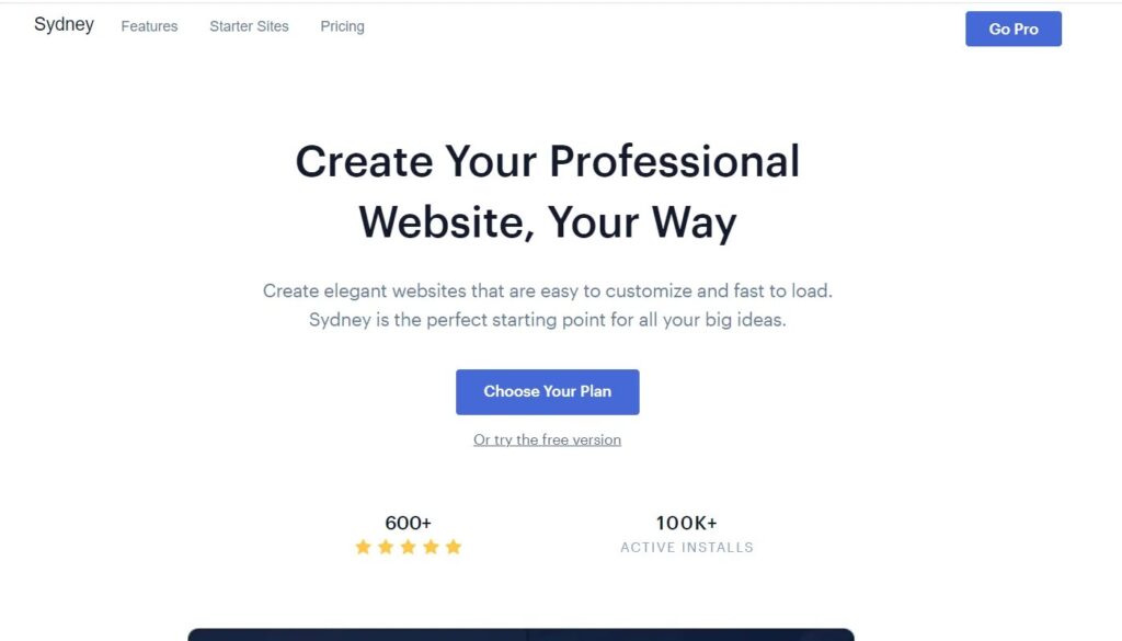 Sydney WP Theme To create professional wordpress website