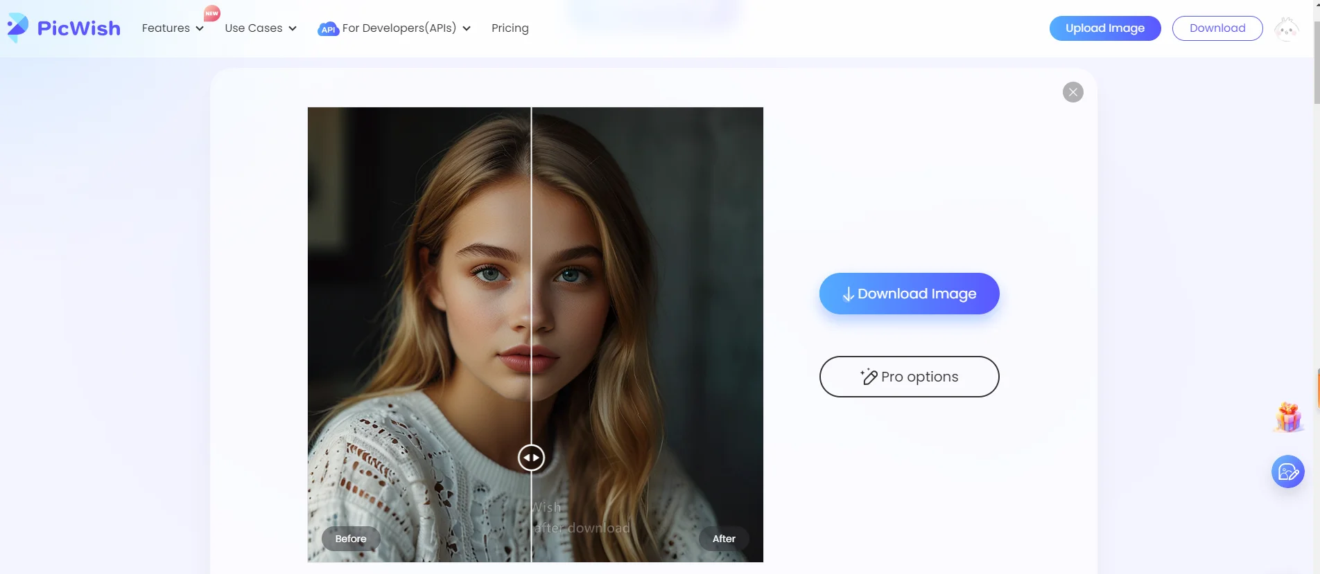 PicWish AI Photo Enhancer Feature Of AI Photo Editor