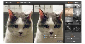 A picture of a cat with less noise fixed using Super Denoising - Photo Noise Reduction Software For Mac